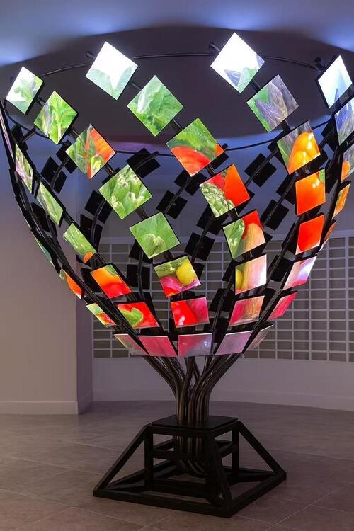 Latest company Solutions about Creative Project 